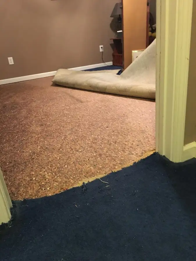 Carpet pad removal revealing water damage during Water Mitigation Services in Anthony